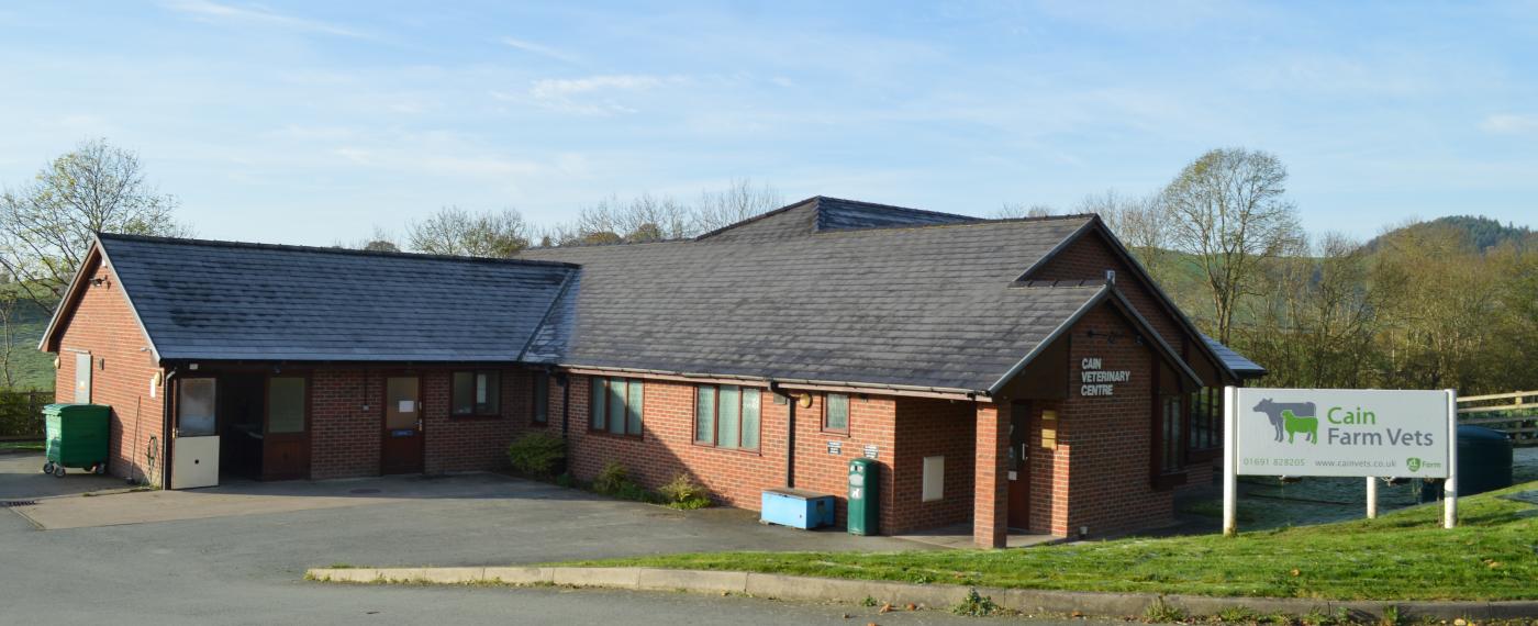 Cain Veterinary Centre Committed to excellence in practice